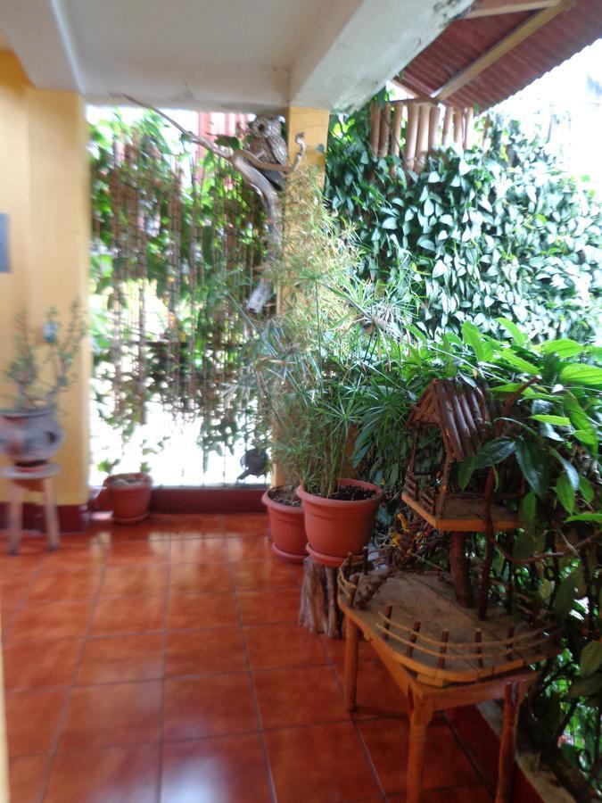 Hotel Encuentro Del Viajero 帕纳哈切尔 外观 照片