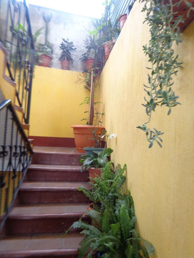 Hotel Encuentro Del Viajero 帕纳哈切尔 外观 照片