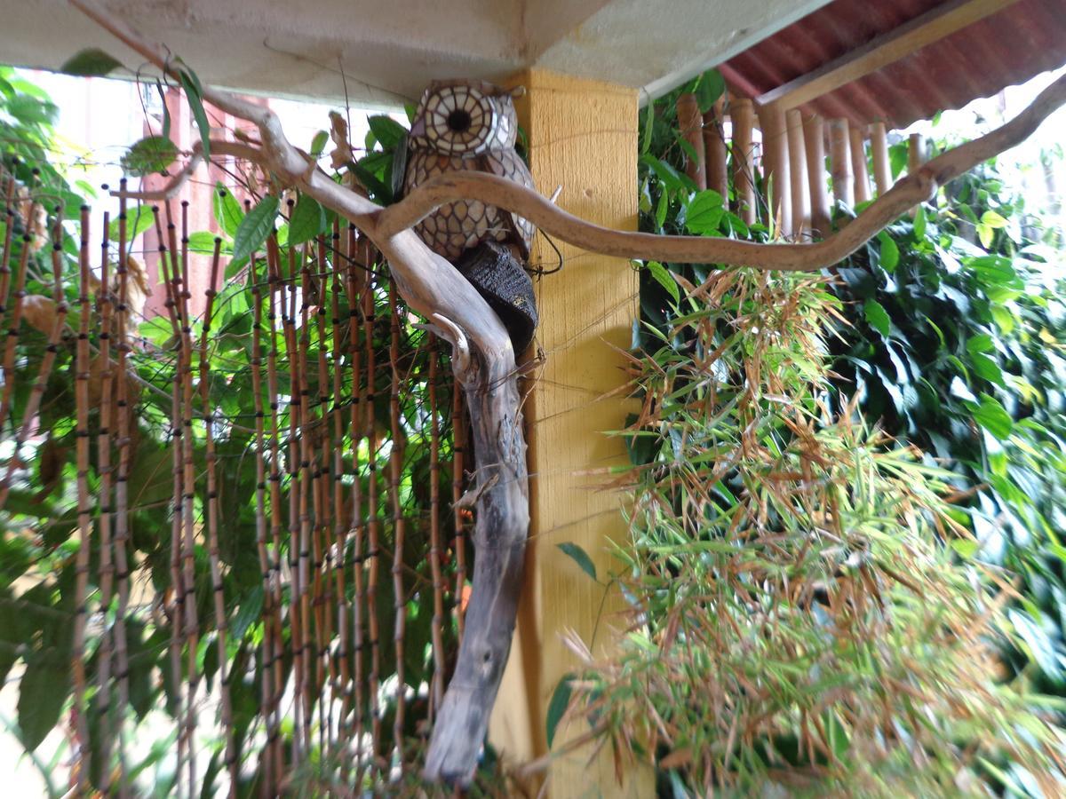 Hotel Encuentro Del Viajero 帕纳哈切尔 外观 照片